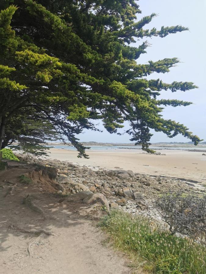 Un Havre De Paix *